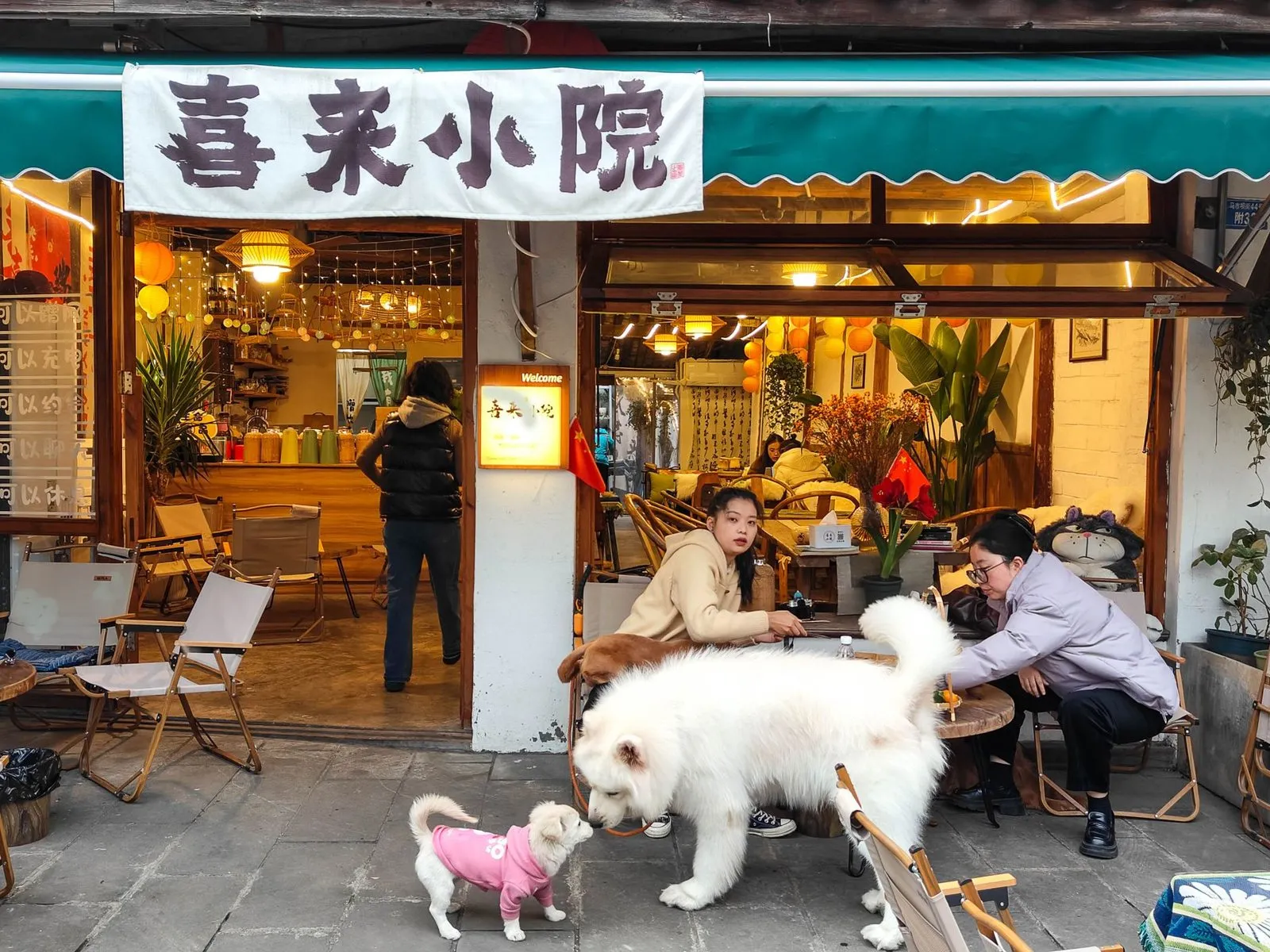 台中寵物咖啡廳怎麼挑？北屯 3 家能讓狗落地的寵物友善咖啡廳，毛孩住佩德先生放電一整天