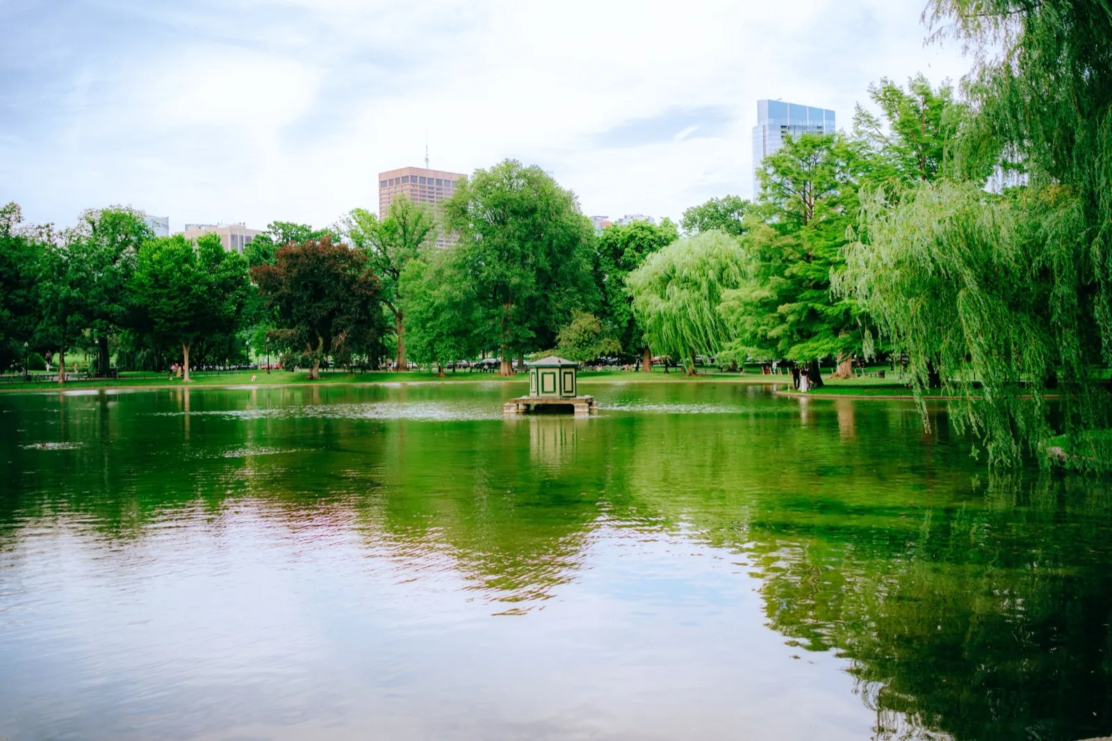 城市公園裡的湖面倒映樹林與遠處高樓,台中中央公園滯洪池景觀